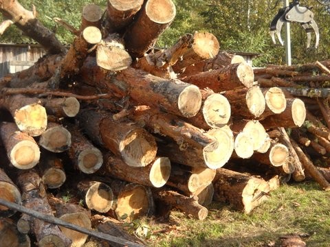 Dřevo jako vstupní surovina pro pelety ve výrobně společnosti MultiBio v ukrajinské Ovruči.